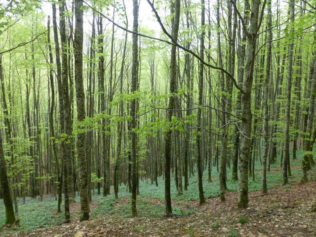 Hostal Rural Arrobi Borda Eugi Dış mekan fotoğraf