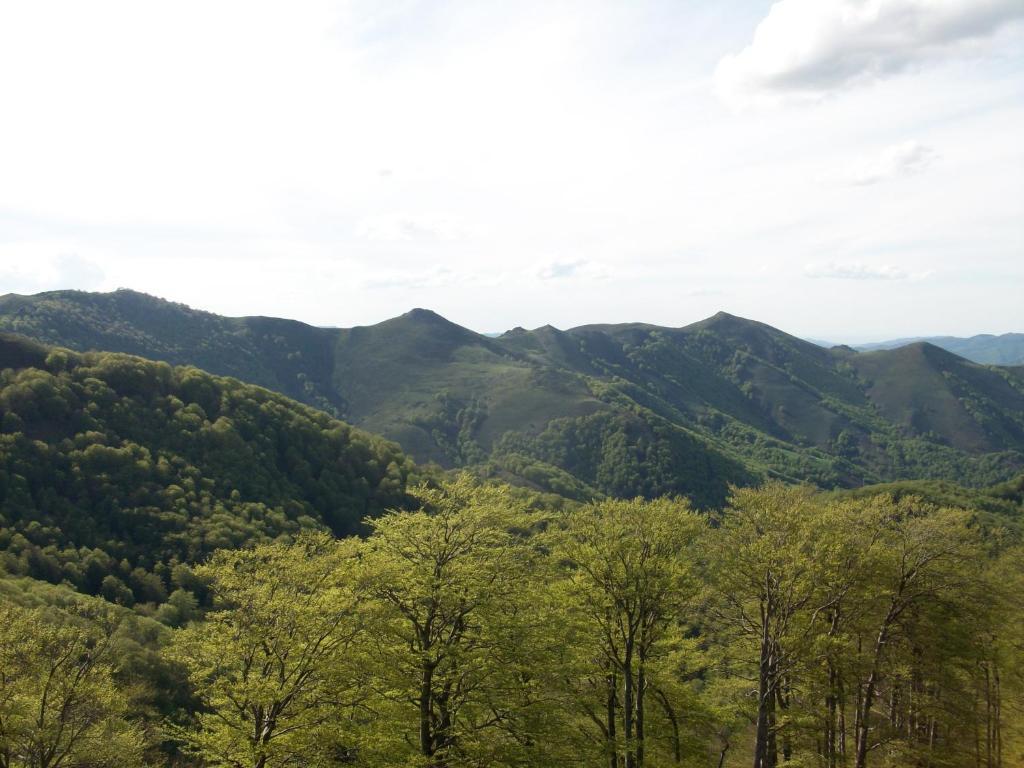 Hostal Rural Arrobi Borda Eugi Dış mekan fotoğraf